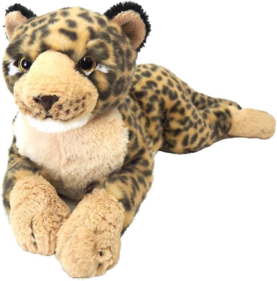 Amazon.co.jp: ひざひょう ぬいぐるみ Mサイズ : おもちゃ