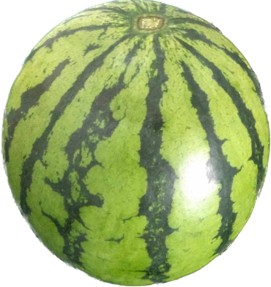 Amazon.co.jp: すいか 訳あり サイズM以上（5キロ以上）スイカ 西瓜