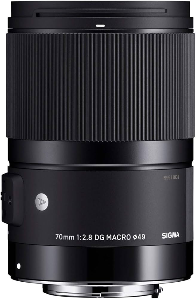 Amazon.com : Sigma 271965 70mm F2.8 Art DG Macro for Sony E, Black