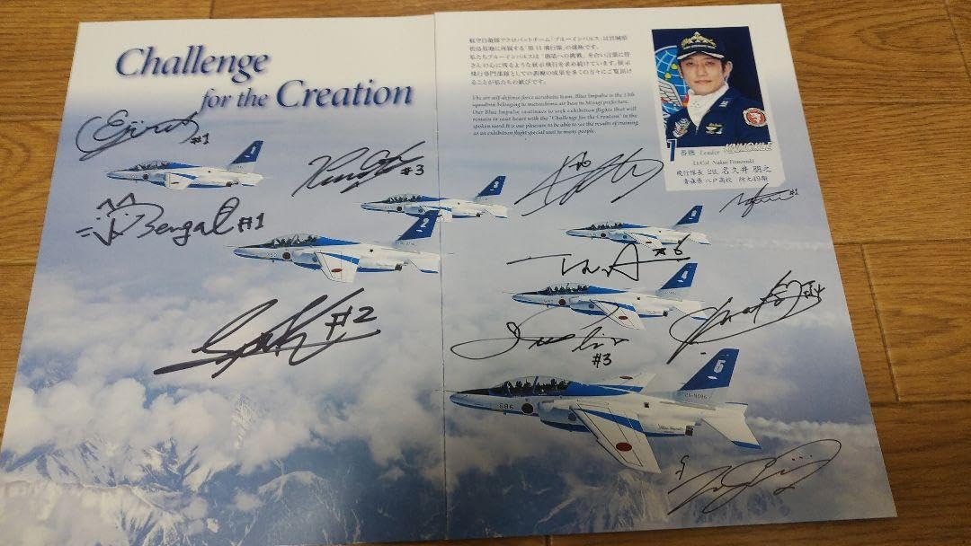 Amazon.co.jp: ブルーインパルス ツアー2024 直筆サイン パンフレット