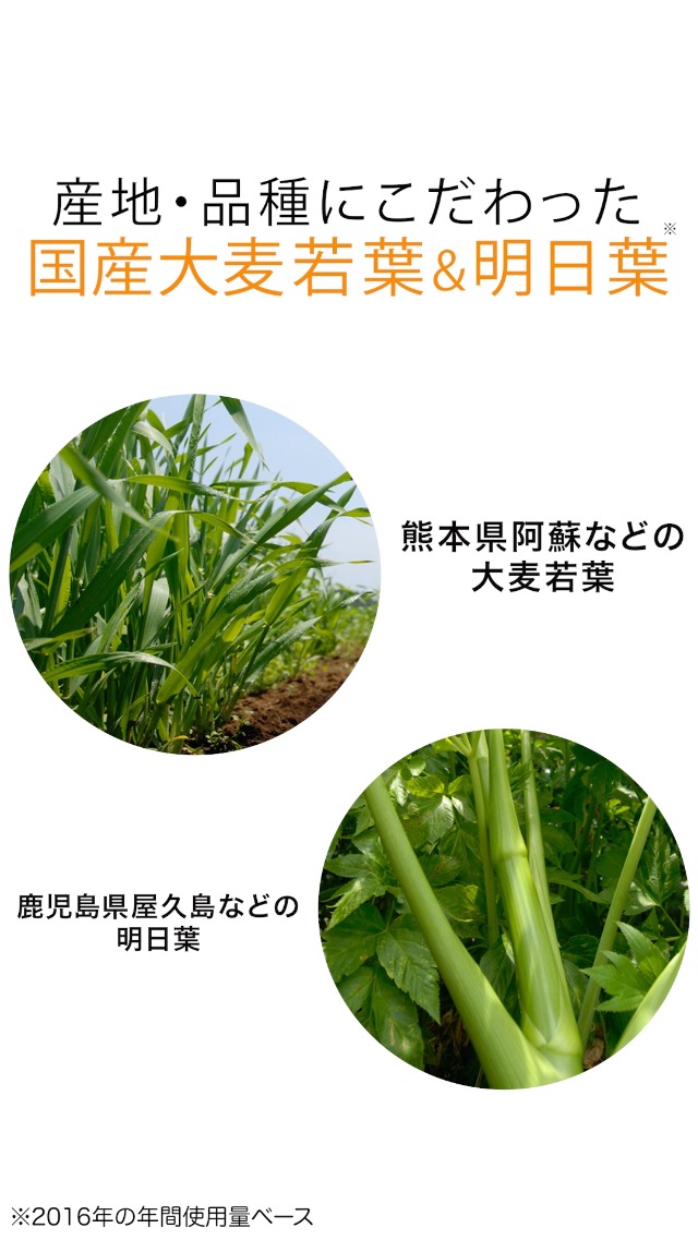 Amazon | サントリーウエルネス公式 サントリー 極の青汁 (きわみの