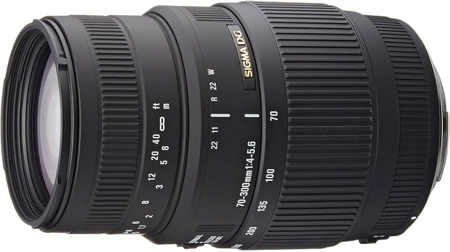 Amazon.com : Sigma 70-300mm f/4-5.6 DG Macro Motorized Telephoto