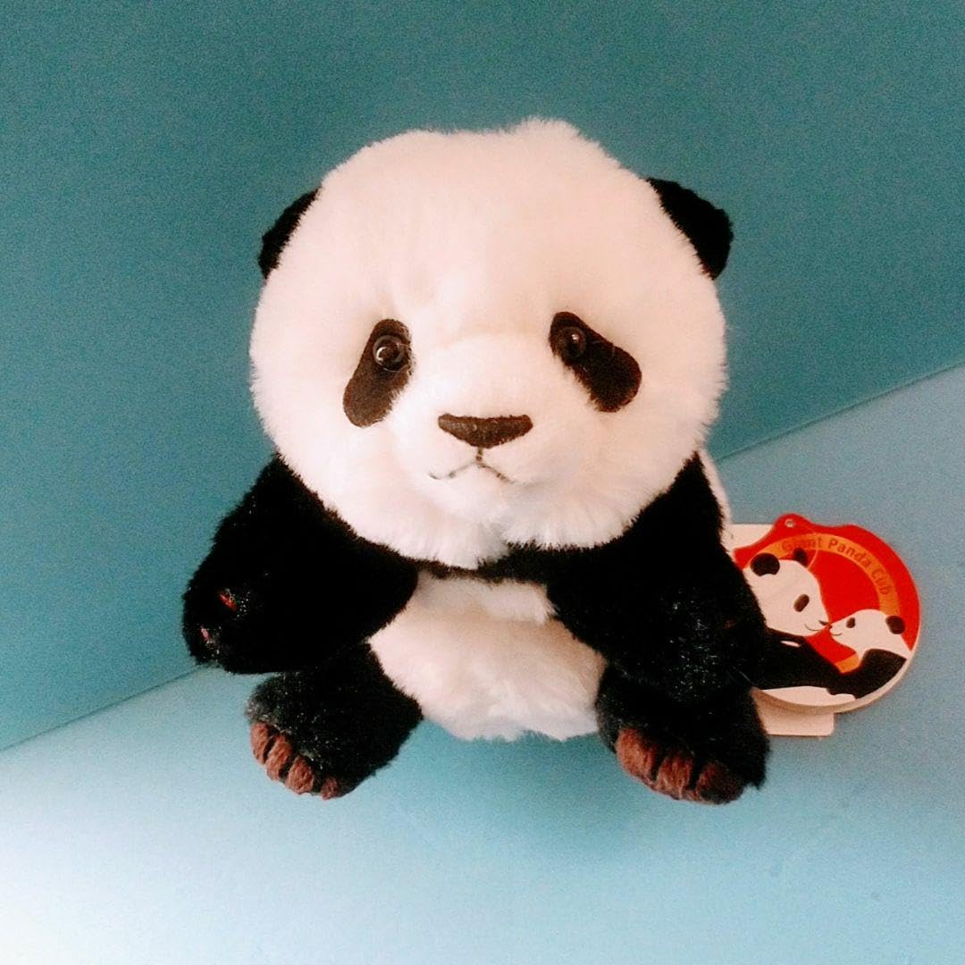 Amazon.co.jp: パンダ ぬいぐるみ くたくたパンダ 上野動物園 香香