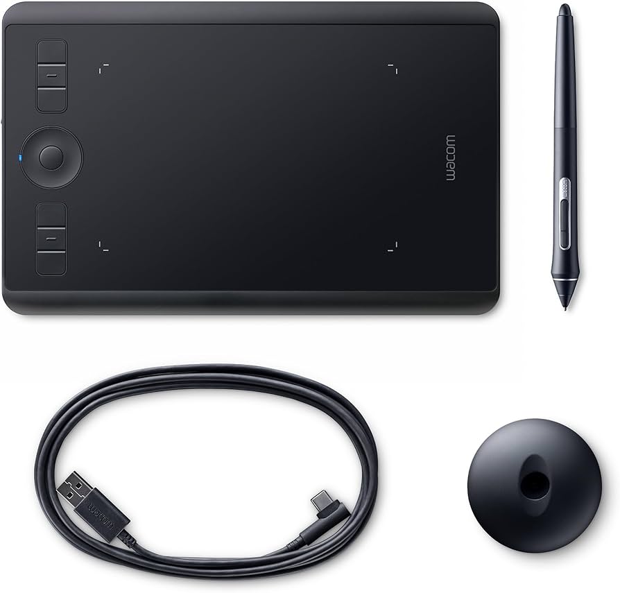 Wacom Intuos Pro S tavoletta Grafica Nero : Amazon.ca: Electronics