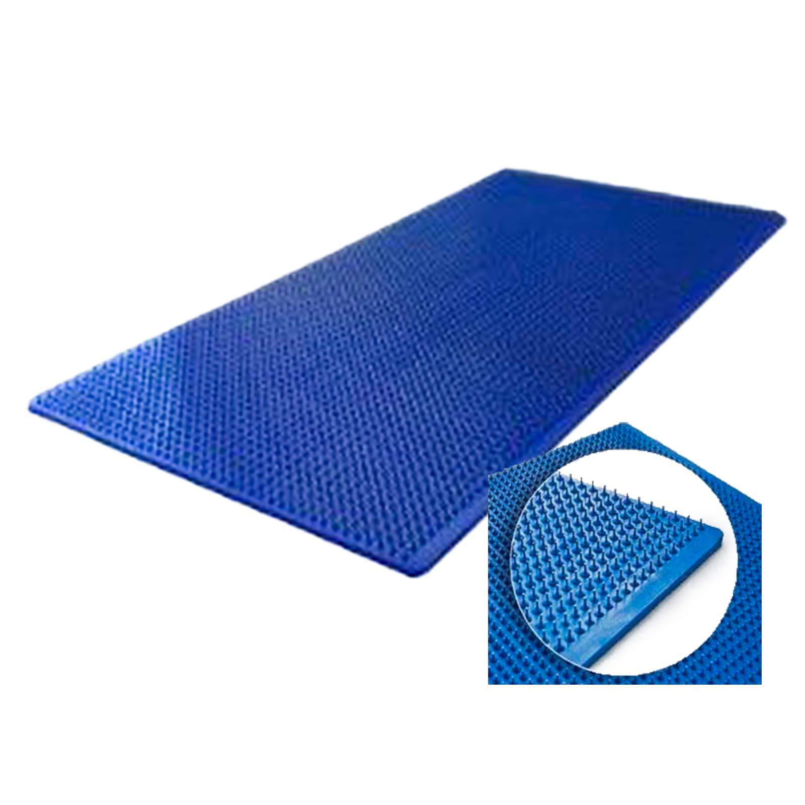 Amazon.co.jp: セルライトバスターL（ラージ）セルライト対策