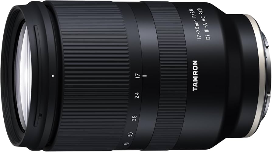Amazon.com : Tamron 17-70mm f/2.8 Di III-A VC RXD Lens for Sony E