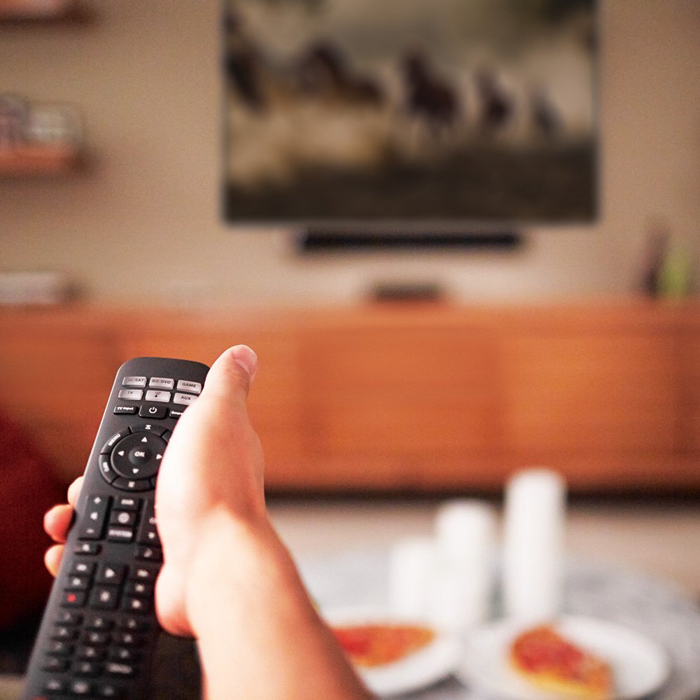 Amazon.co.jp: Bose CineMate 130 home theater system シネメイト130