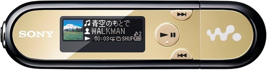 Amazon.co.jp: SONY ウォークマン Eシリーズ FM付 [メモリータイプ