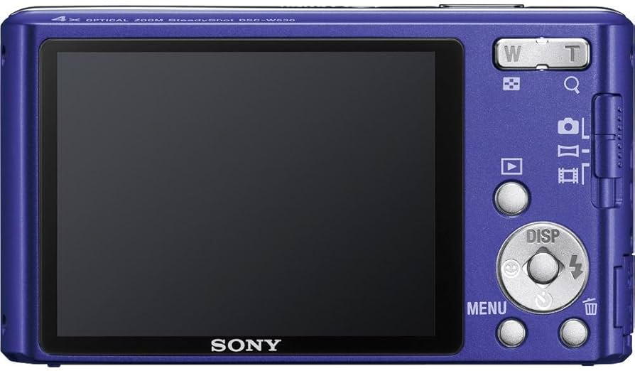 Amazon.com : Sony Cyber-Shot DSC-W530 14.1 MP Digital Still Camera