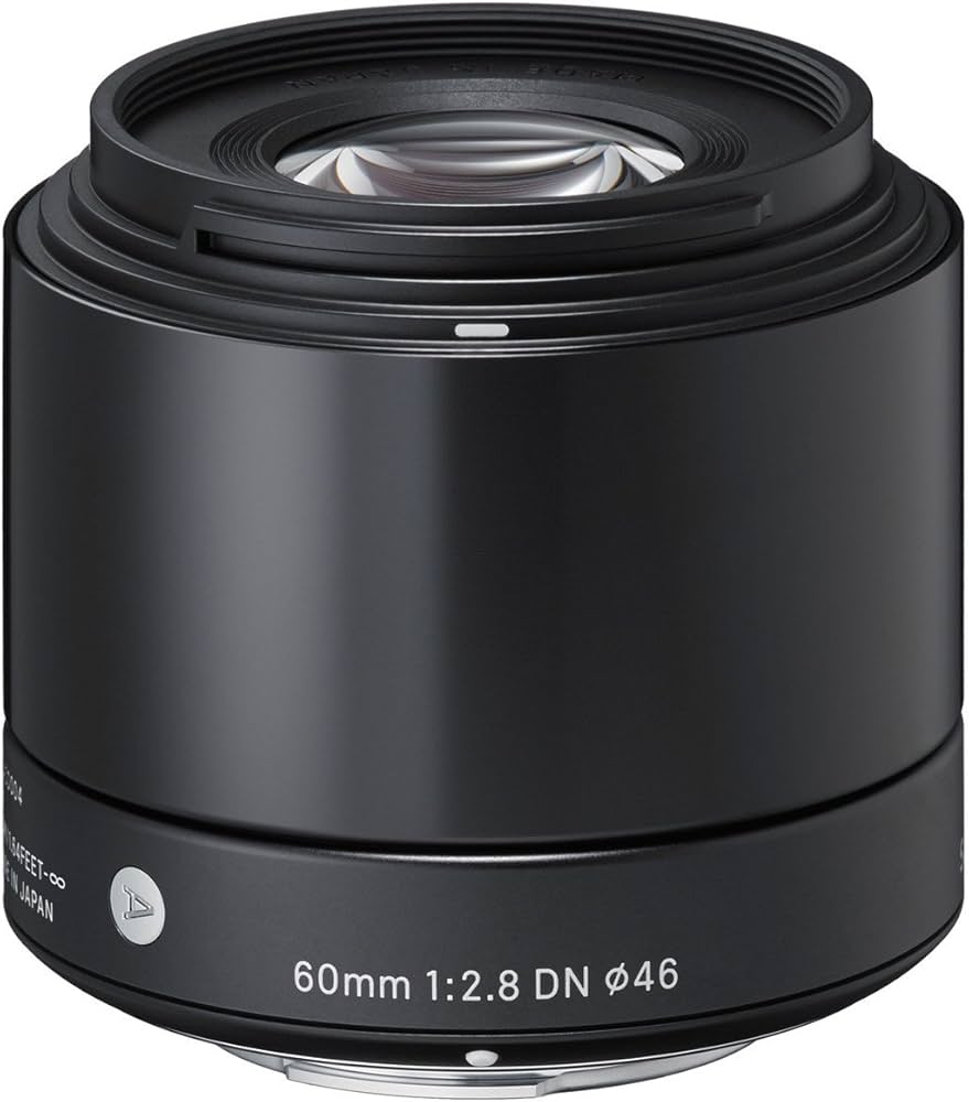 Amazon.com : Sigma 60mm F2.8 EX DN Art (Black) for Micro 4/3