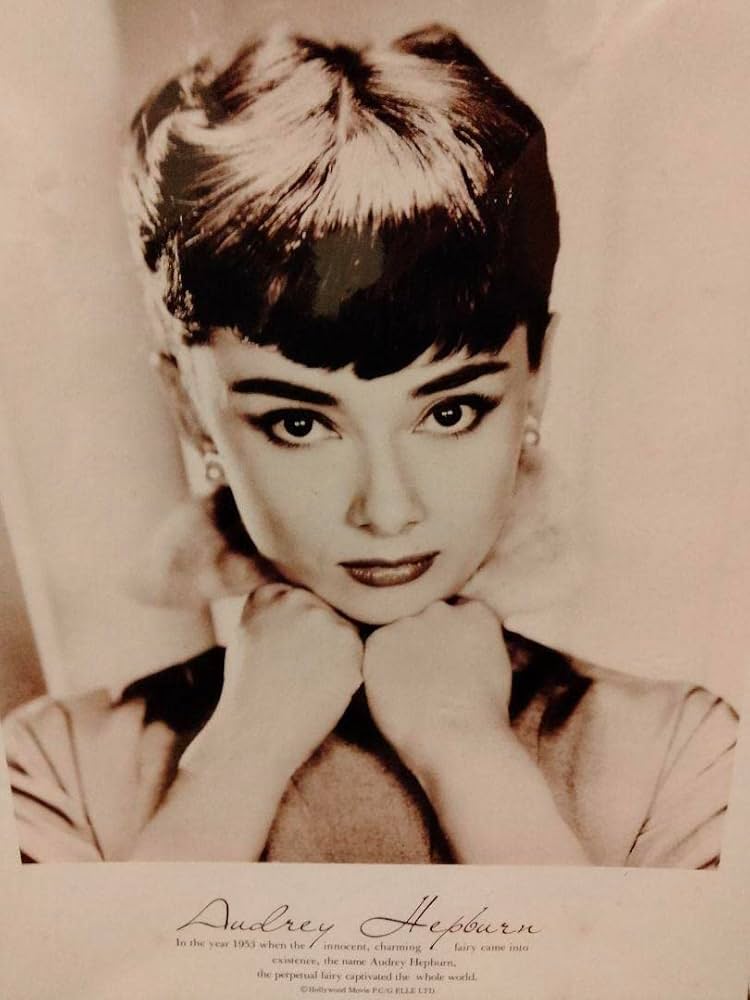 Amazon | オードリーヘップバーン ローマの休日 パズル