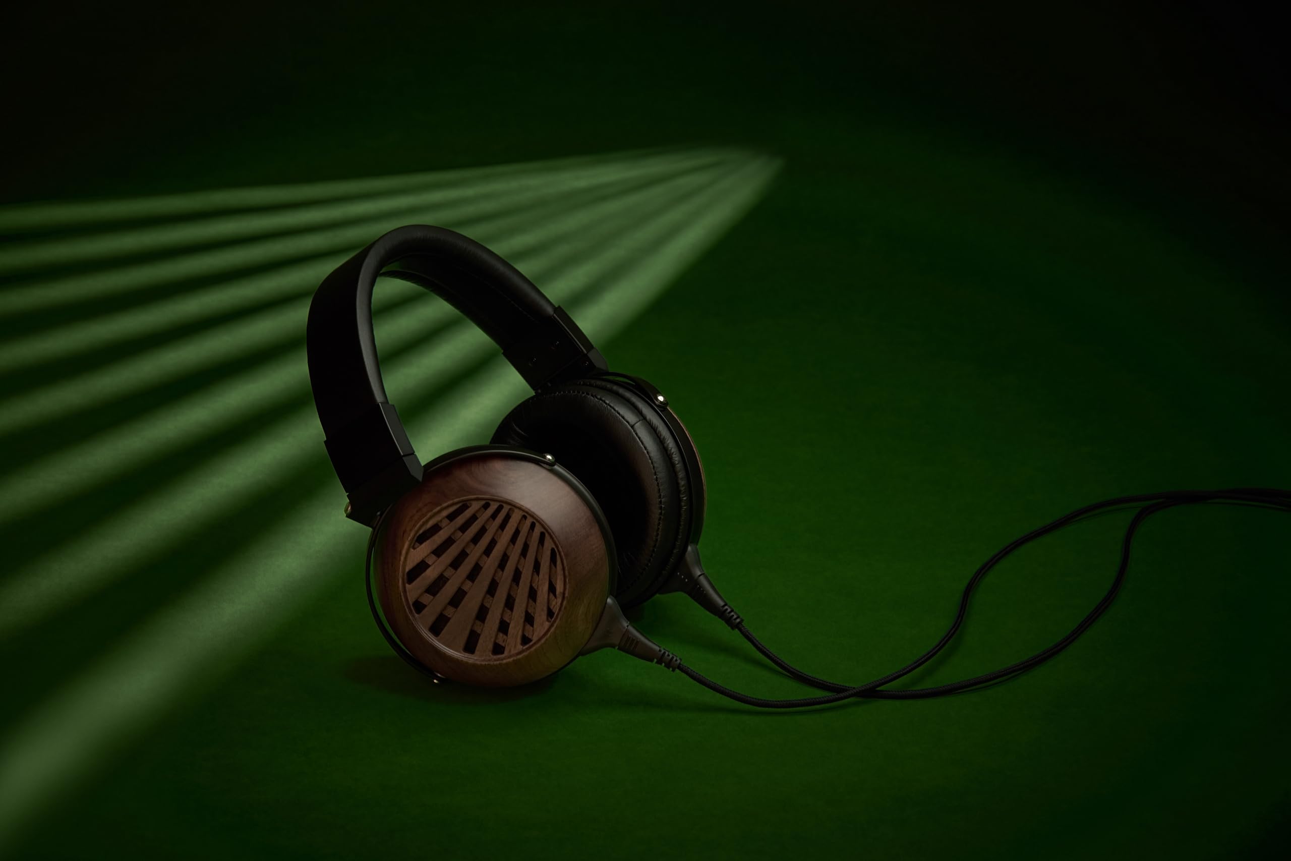 Amazon.com: Fostex TH616 Premium Open Back Audiophile Headphones