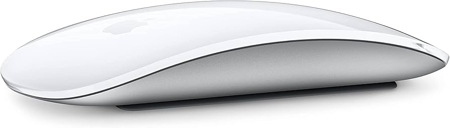 Amazon.com: Apple Magic Mouse (Wireless, Rechargable) - Silver