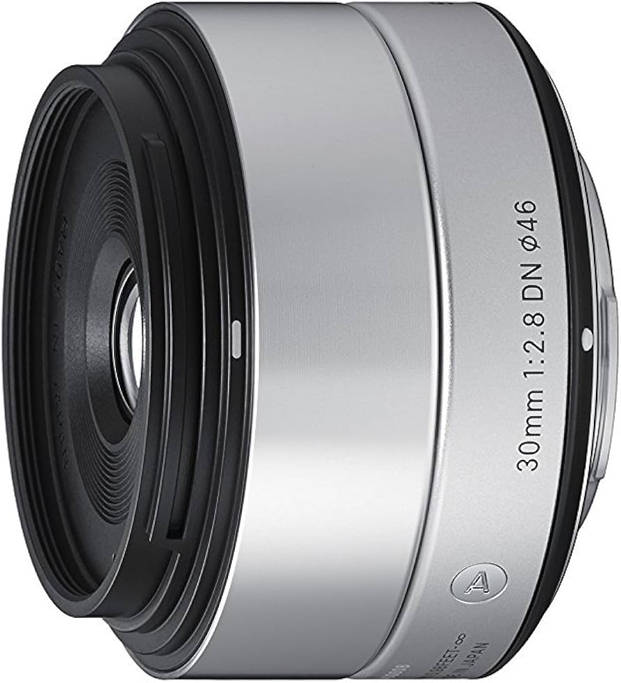 Sigma 30mm f2.8 DN Lens Silver (Sony E) : Amazon.ca: Electronics