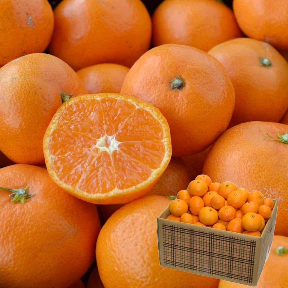 Amazon.co.jp: 訳あり みかん 10kg（箱込約10kg）和歌山県産 ご家庭用