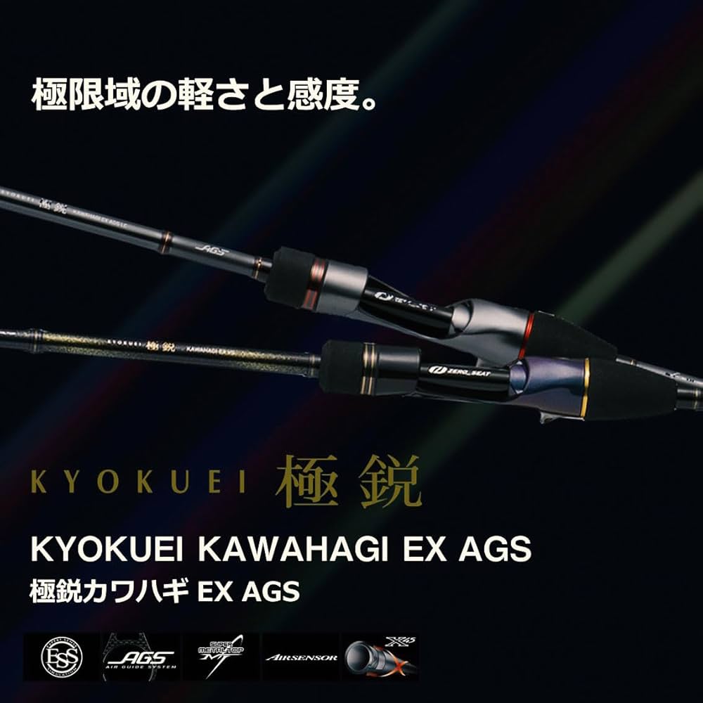 Amazon | ダイワ(DAIWA) カワハギ竿 極鋭カワハギEX VS | ダイワ(DAIWA