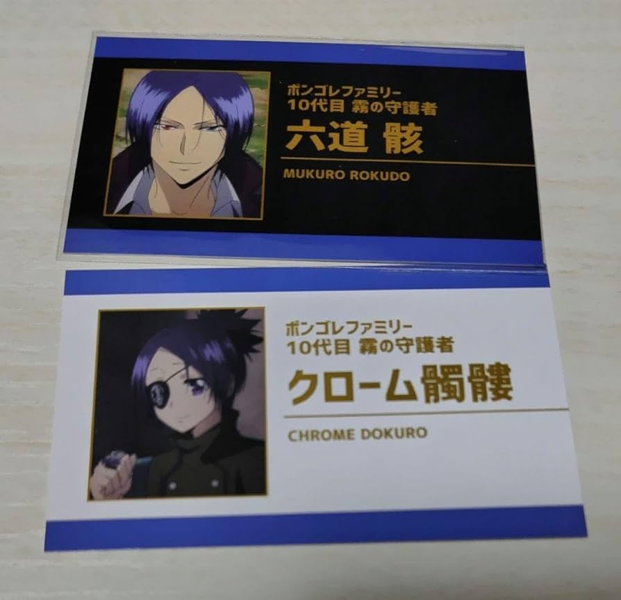 Amazon.co.jp: 家庭教師ヒットマンREBORN コレクションカード 名刺 十