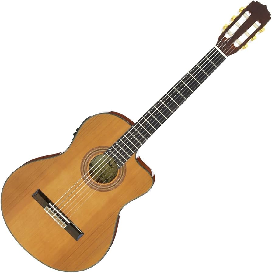 Amazon | ARIA アリア クラッシック ギター エレクトリックカッタ