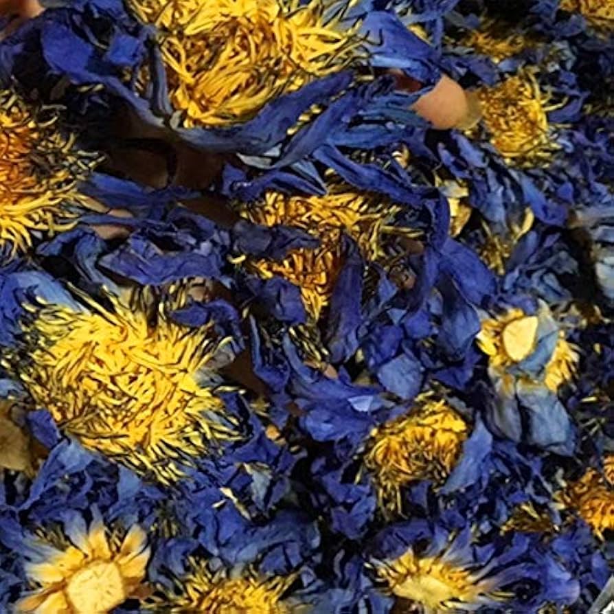 Amazon｜ZLININ ドライフラワー 乾燥したナチュラルブルーロータス