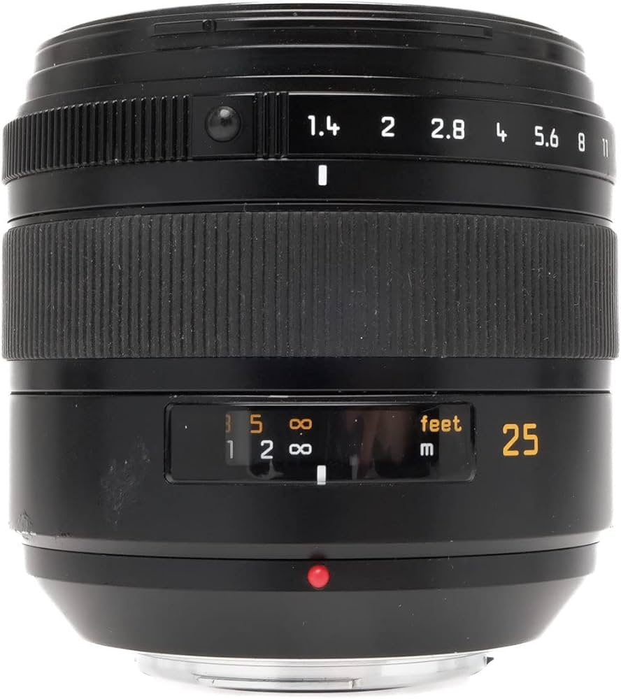 Amazon.com : Panasonic LEICA D SUMMILUX 25mm/F1.4 ASPH L-X025