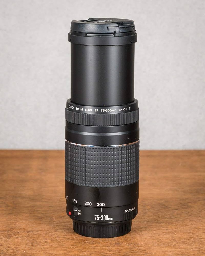 Canon純正 75-300mm 望遠レンズ 美品 a4961 Canon純正 75-300mm 望遠