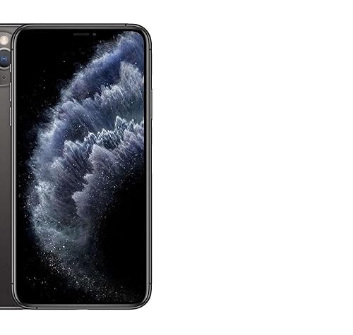 Amazon.com: Apple iPhone 11 Pro Max（整新機） : 手機和配件