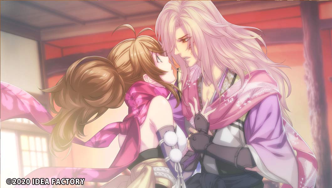 Amazon.co.jp: 忍び、恋うつつ for Nintendo Switch 限定版 : ゲーム