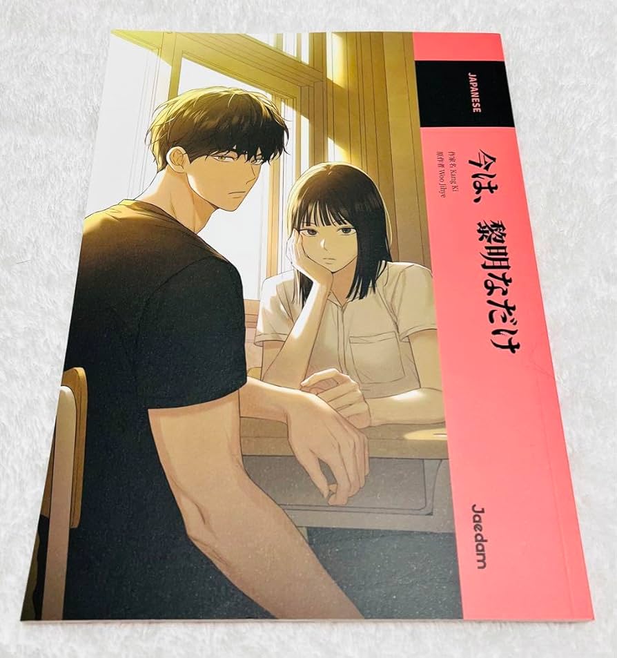 Amazon.co.jp: 今は、黎明なだけ アニメーション本 本 ブック 韓国