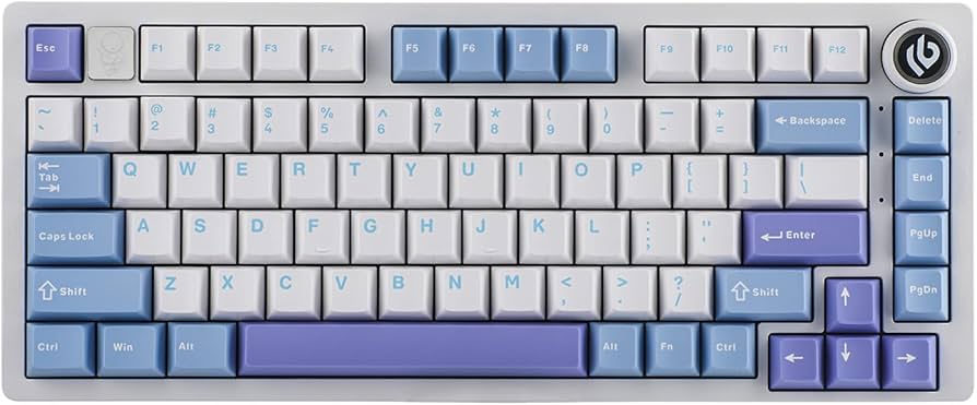 Amazon.com: EPOMAKER x LEOBOG Hi75 Aluminum Alloy Wired Mechanical