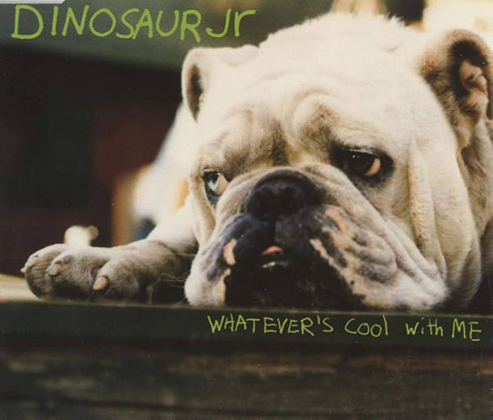 Dinosaur Jr. - Whatever's Cool With Me - Amazon.com Music