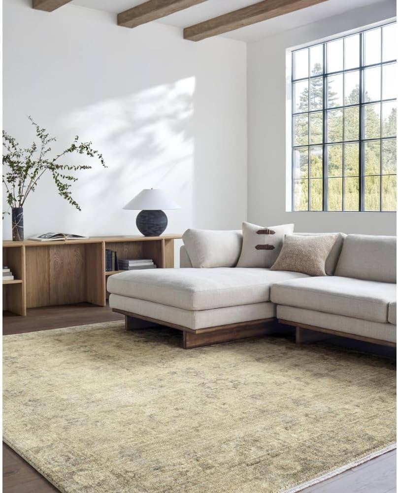 Amazon.com: Livabliss x Galey Alix Fetscher II Vintage Medallion