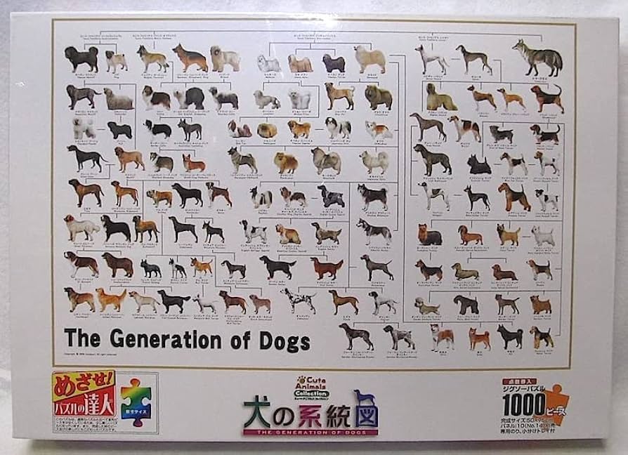 Amazon | 1000ピース・犬の ジグソーパズル 「犬の系統図