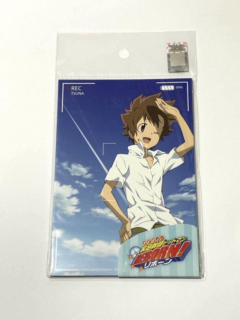 リボアニ ポストカード 沢田綱吉 専用封筒 家庭教師ヒットマンreborn