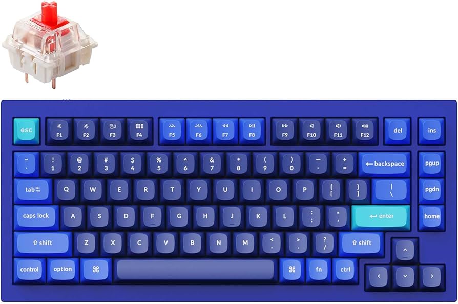 Amazon.com: Keychron Q1 RGB Wired Custom Mechanical Keyboard, 75