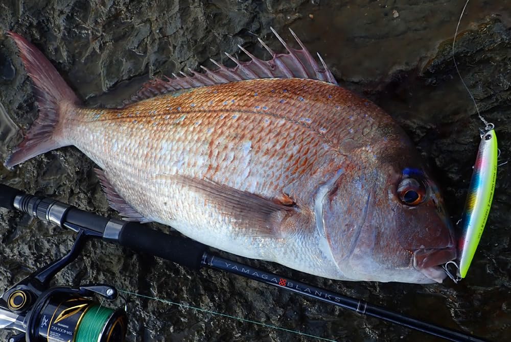 Amazon | ヤマガブランクス 88 チェイン | ヤマガブランクス(YAMAGA