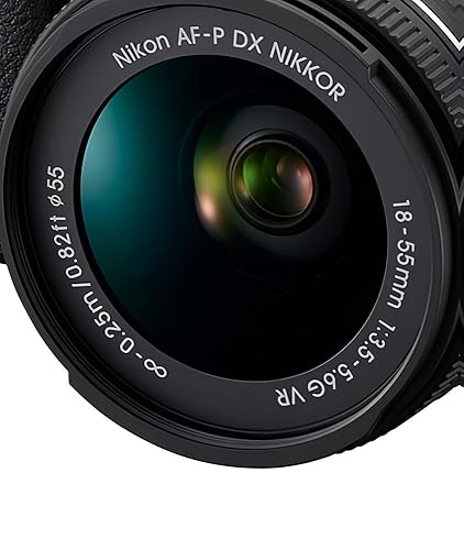 Amazon.com : Nikon D5600 Digital SLR Camera & 18-55mm VR DX AF-P