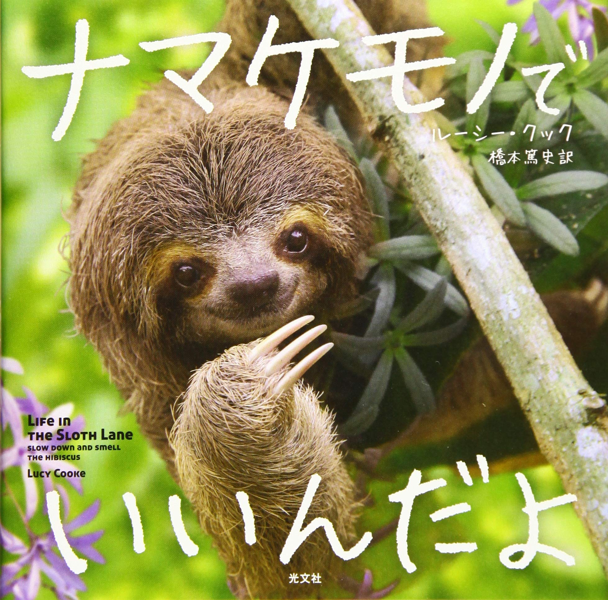 ナマケモノでいいんだよ | ルーシー・クック, 橋本 篤史 |本 | 通販