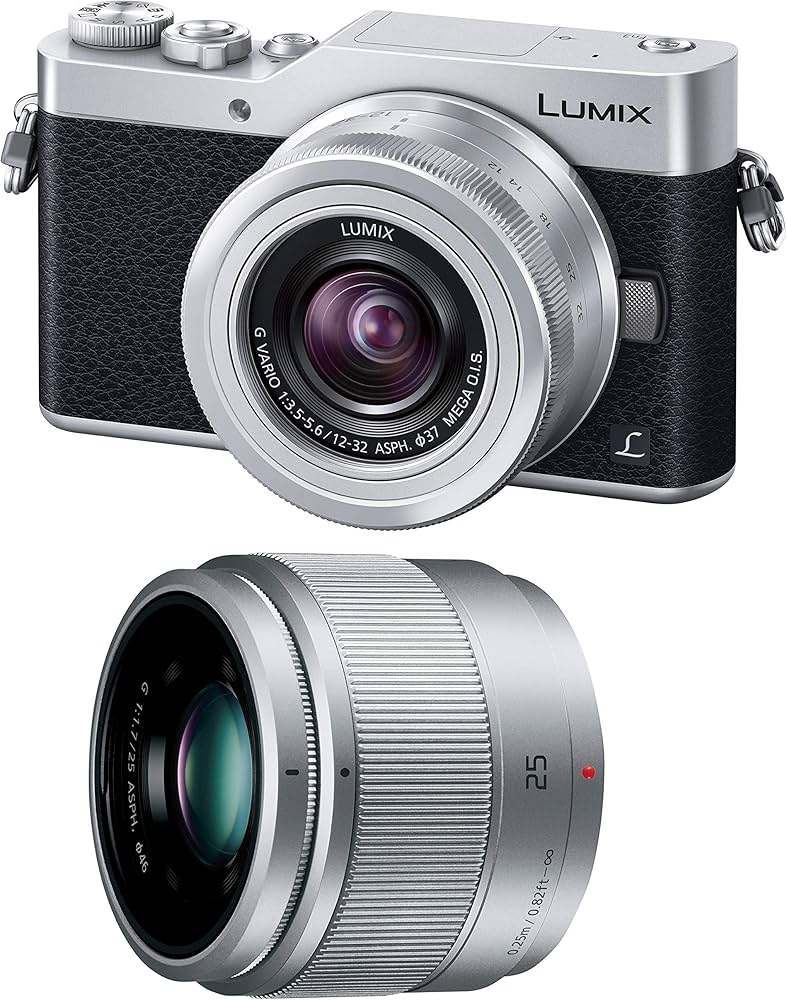 Amazon.co.jp: Panasonic Lumix GF9 Mirrorless Camera Double Zoom