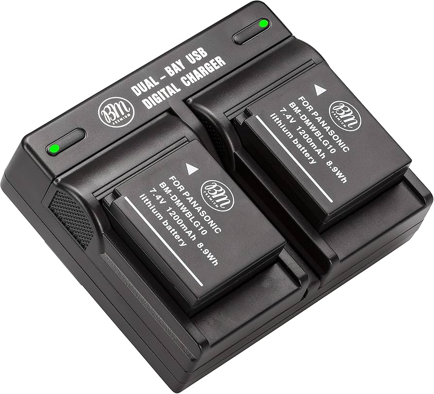 Amazon.com : BM 2 Pack DMW-BLG10 Batteries and Dual Battery