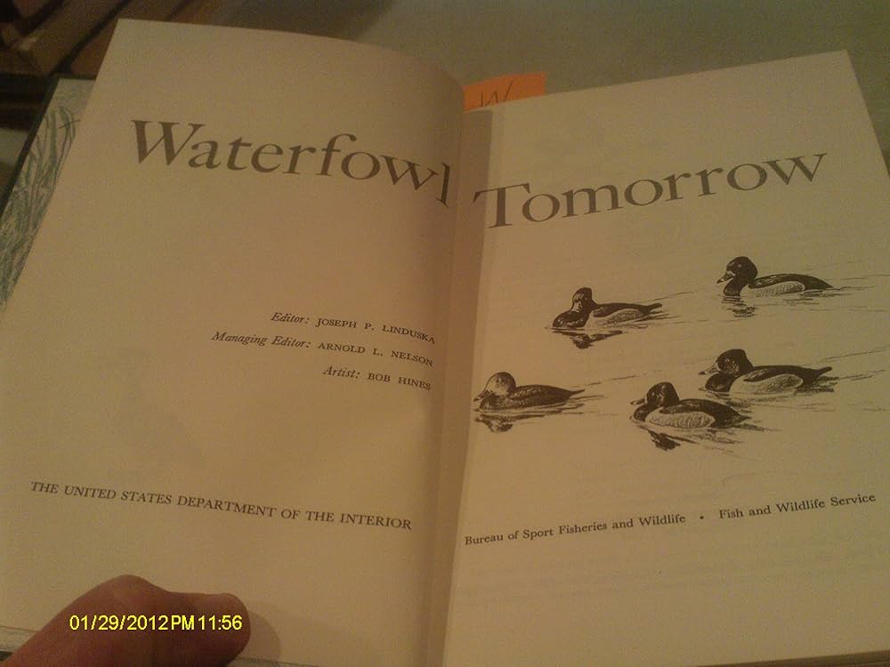 Waterfowl Tomorrow: Linduska, Joseph P. (ed.): 9781125211182