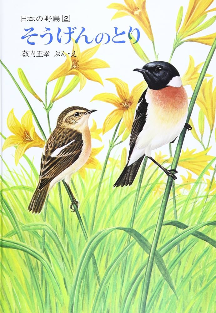 Amazon.co.jp: そうげんのとり(薮内正幸・日本の野鳥2【ハードカバー版