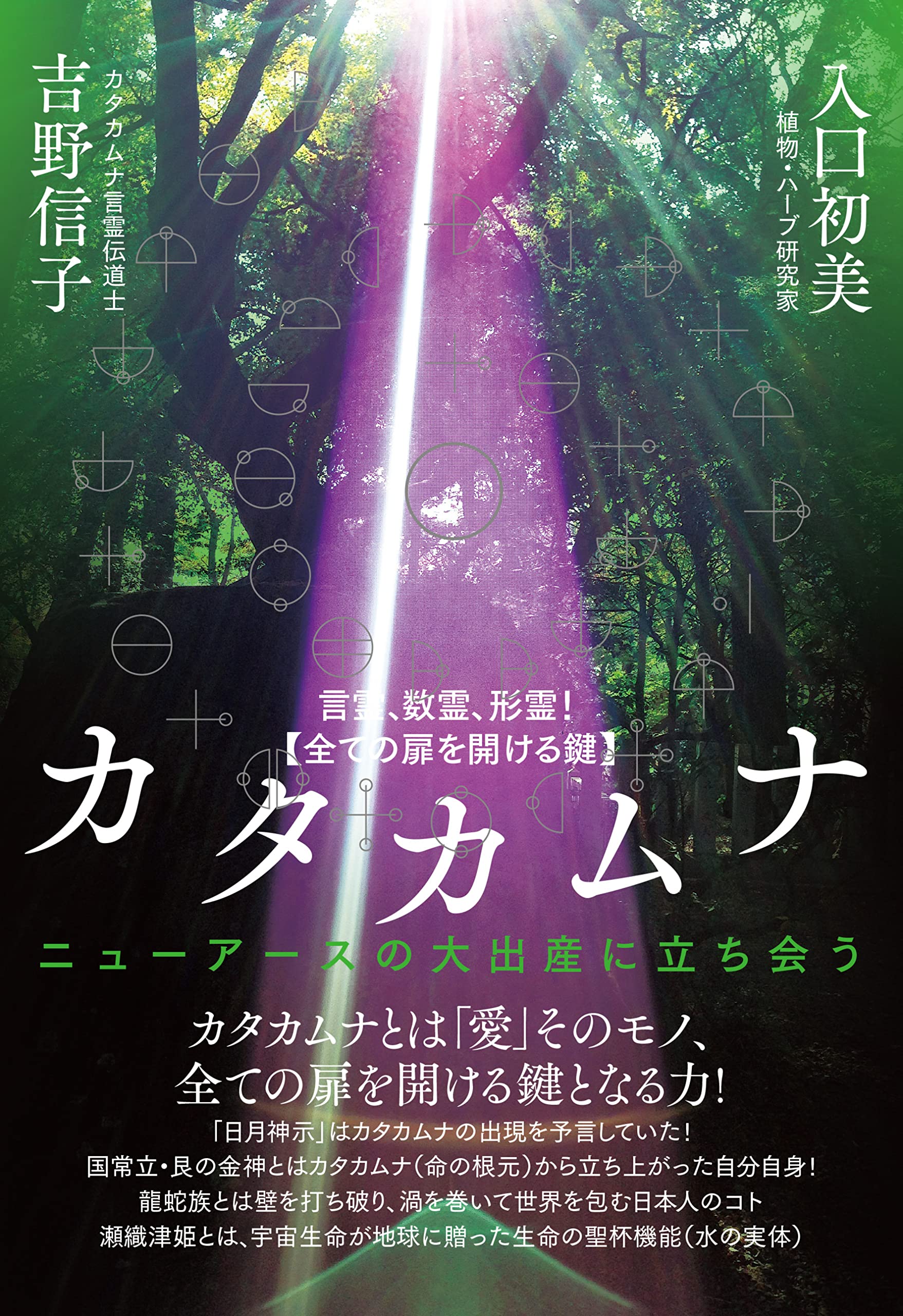 奇跡が起こる カタカムナ生命の書 図像集2 宇宙 自然 神 調和 言霊