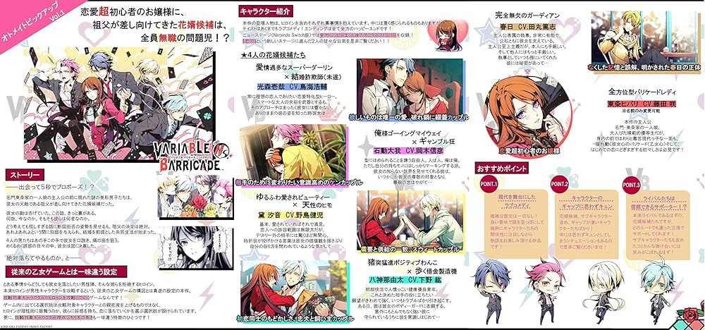 Amazon.co.jp: VARIABLE BARRICADE NS 限定版 : ゲーム