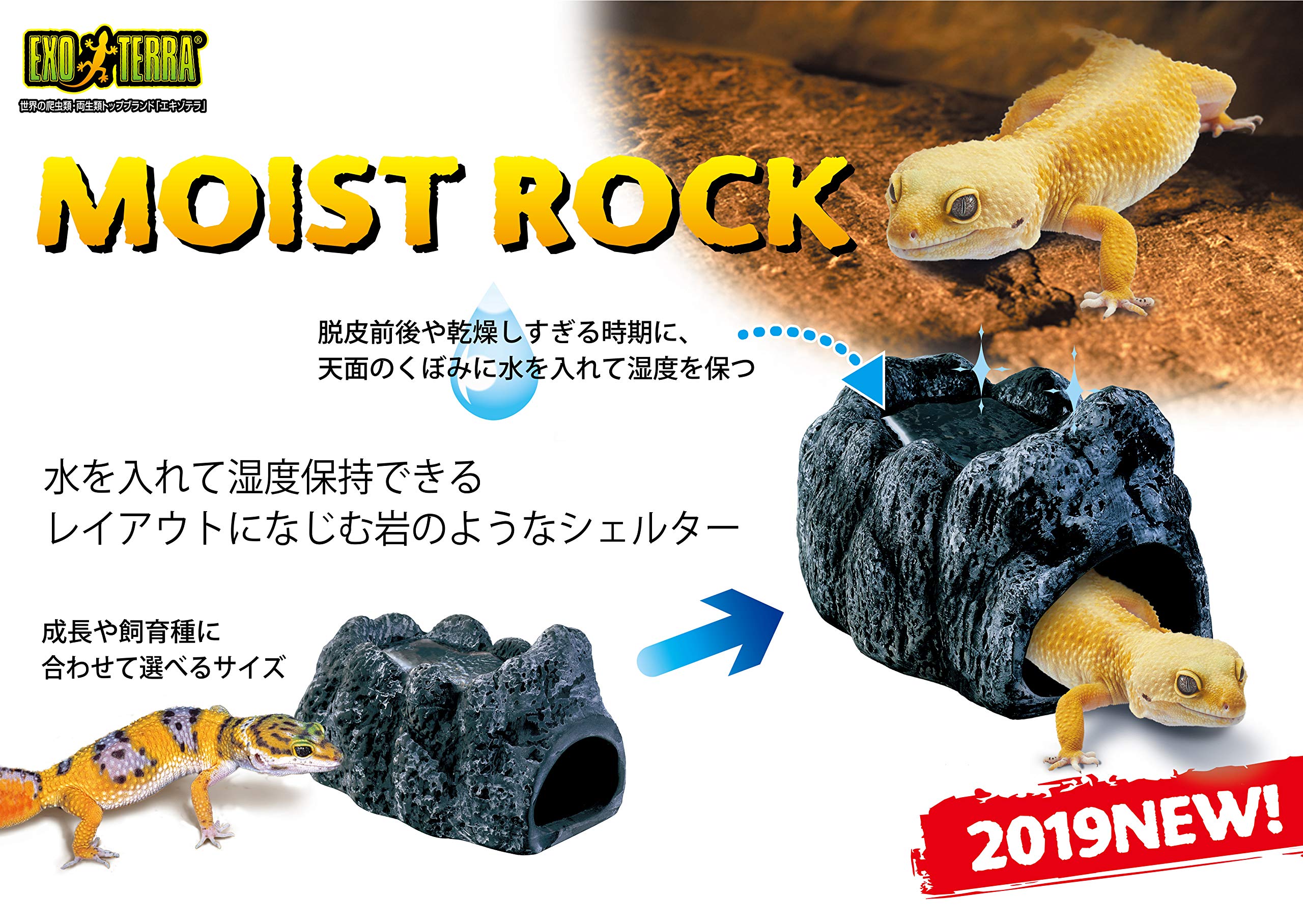 Amazon | GEX EXOTERRA モイストロック200 PT3173 爬虫類用シェルター