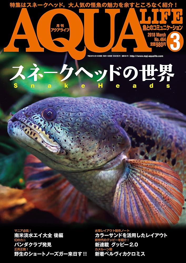 月刊アクアライフ 2018年 03 月号 スネークヘッドの世界 |本 | 通販