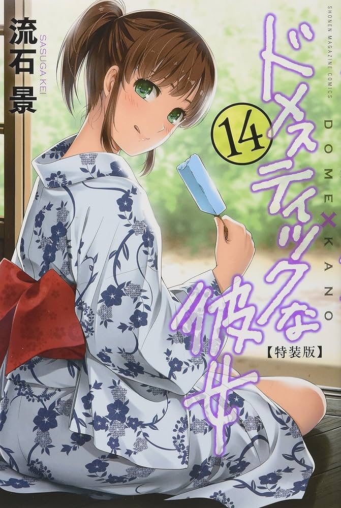 ドメスティックな彼女(14)特装版 (プレミアムKC) | 流石 景 |本 | 通販