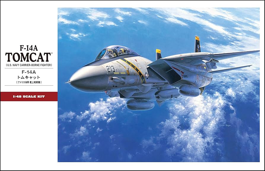 Amazon.com: Hasegawa 1:48 Scale F-14A Tomcat Model Kit : Arts