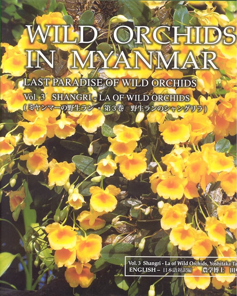 Amazon | Wild Orchids in Myanmar: Last paradise of Wild Orchids
