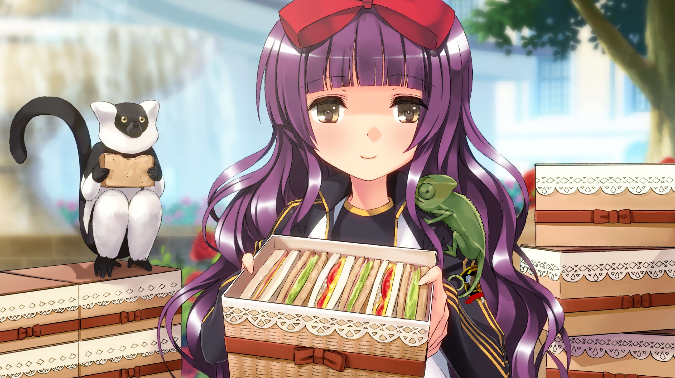 Amazon.co.jp: ヴァイスシュヴァルツ ポータブル ブーストシュヴァルツ