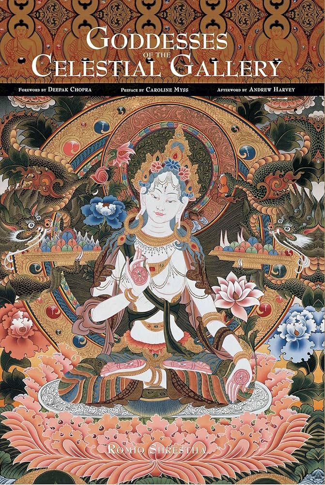 Amazon.com: Goddesses of the Celestial Gallery: 9781608870226